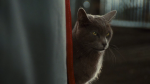 Кошки против собак: Месть Китти Галор / Cats & Dogs: The Revenge of Kitty Galore (2010/HDRip)