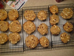 Forum Image: http://thumbnails22.imagebam.com/19505/9e6ce5195041367.jpg