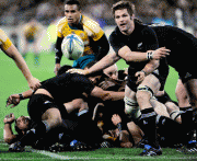 257dfb49347560.gif