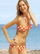 08299952054864.gif