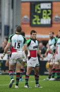 510a5553587190.gif