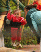 1eee2353602252.gif