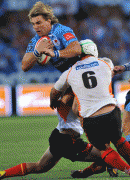 b2bbbb54428823.gif