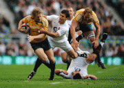ae4ba055158573.gif