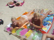313a1658333298.gif