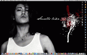imagebam.com