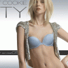 imagebam.com