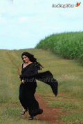 Tamil Actress Charmi Hot Pics