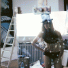 imagebam.com
