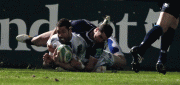 85009a75795195.gif