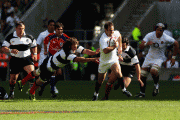 3024d682625424.gif